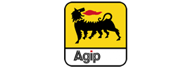 Nigerian Agip Oil Company Limited